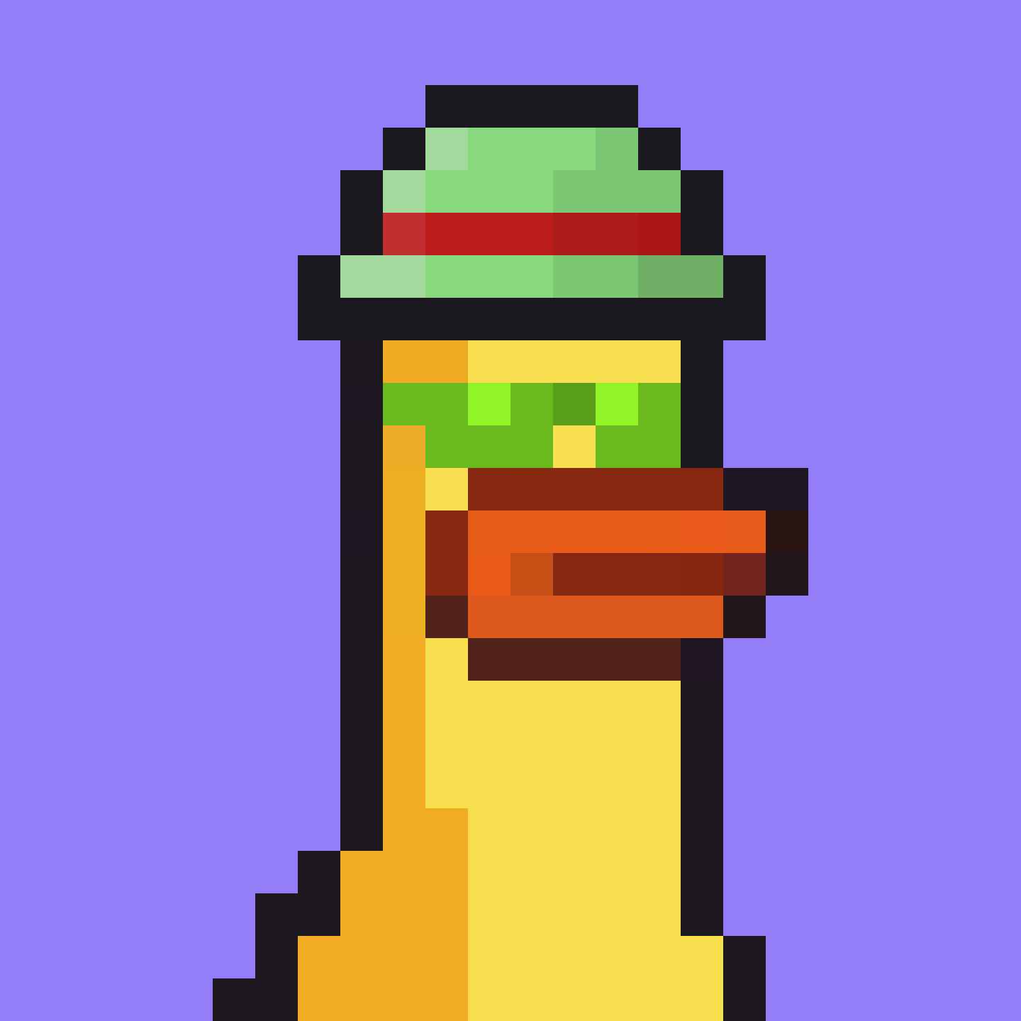 a duck