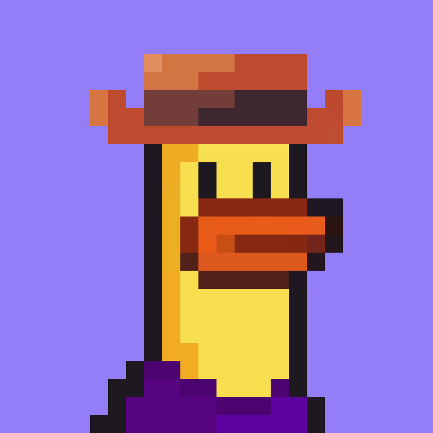 a duck