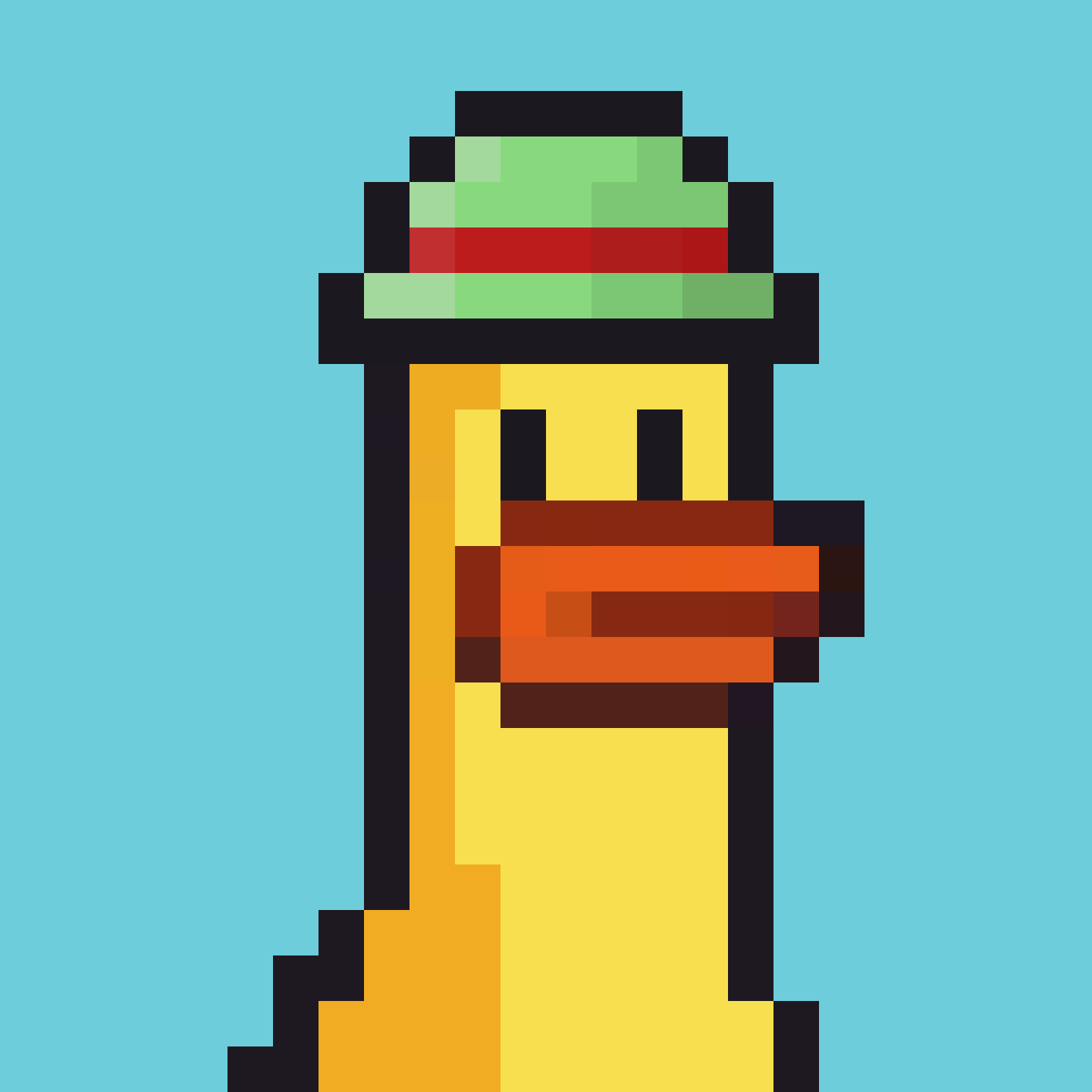 shard duck