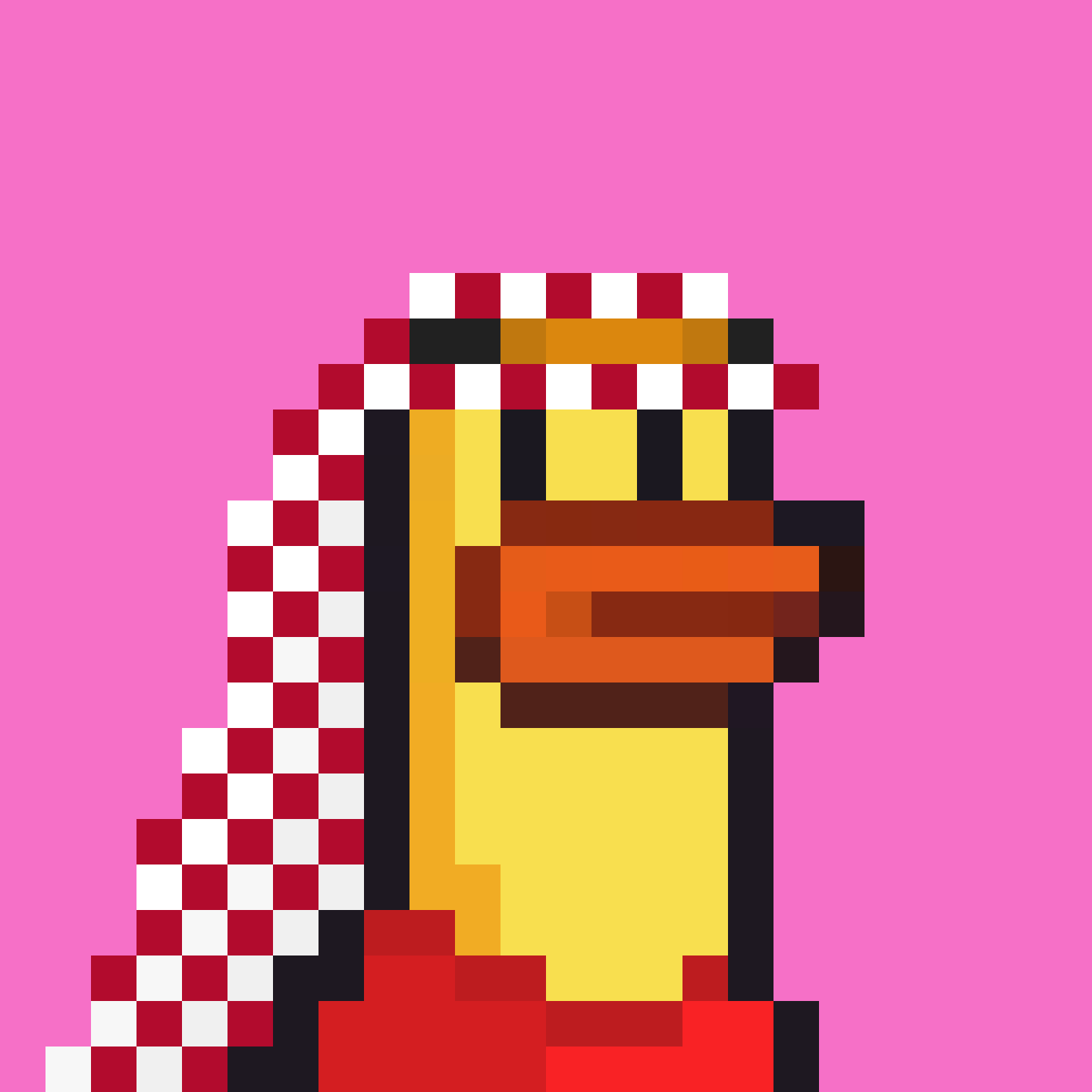 a duck