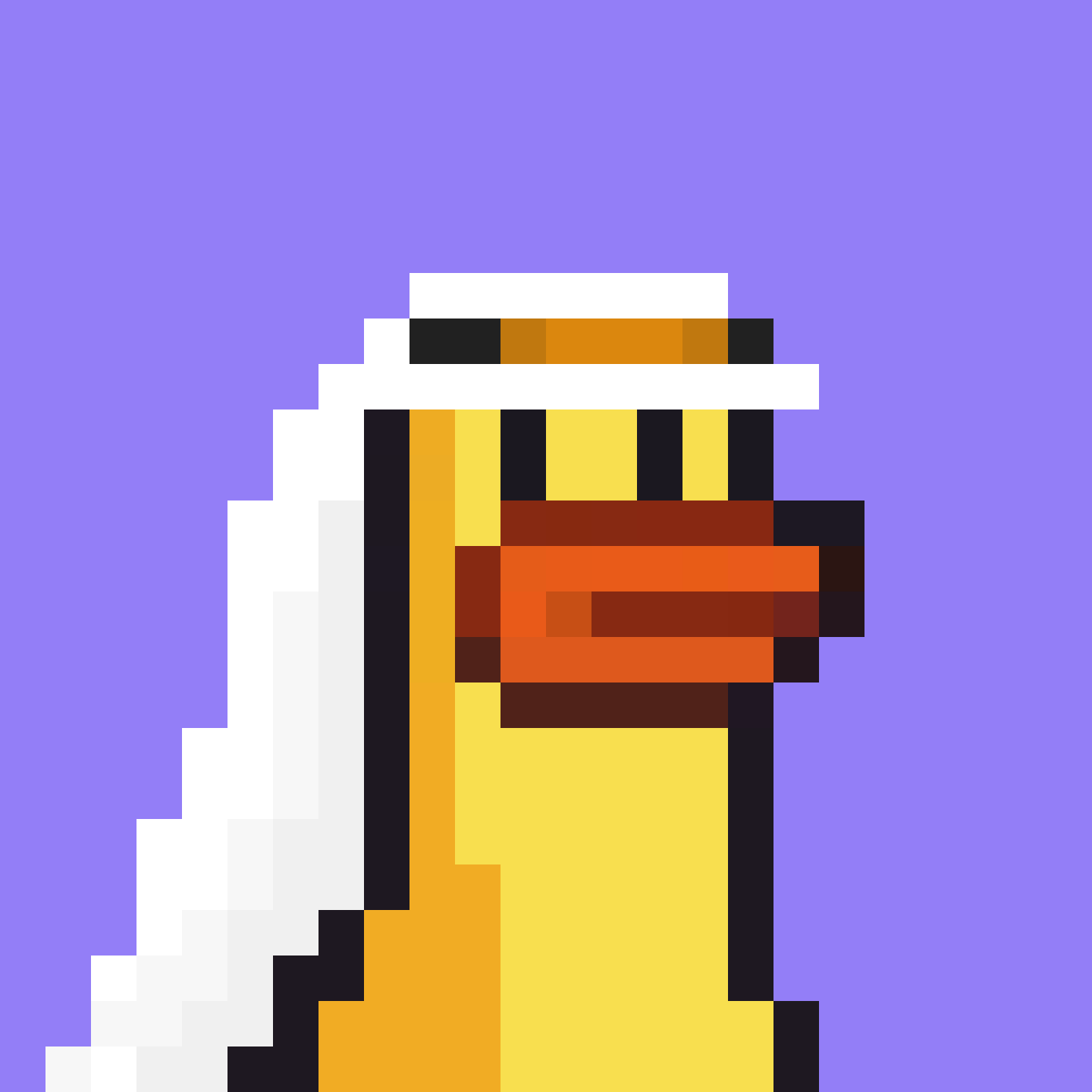 a duck