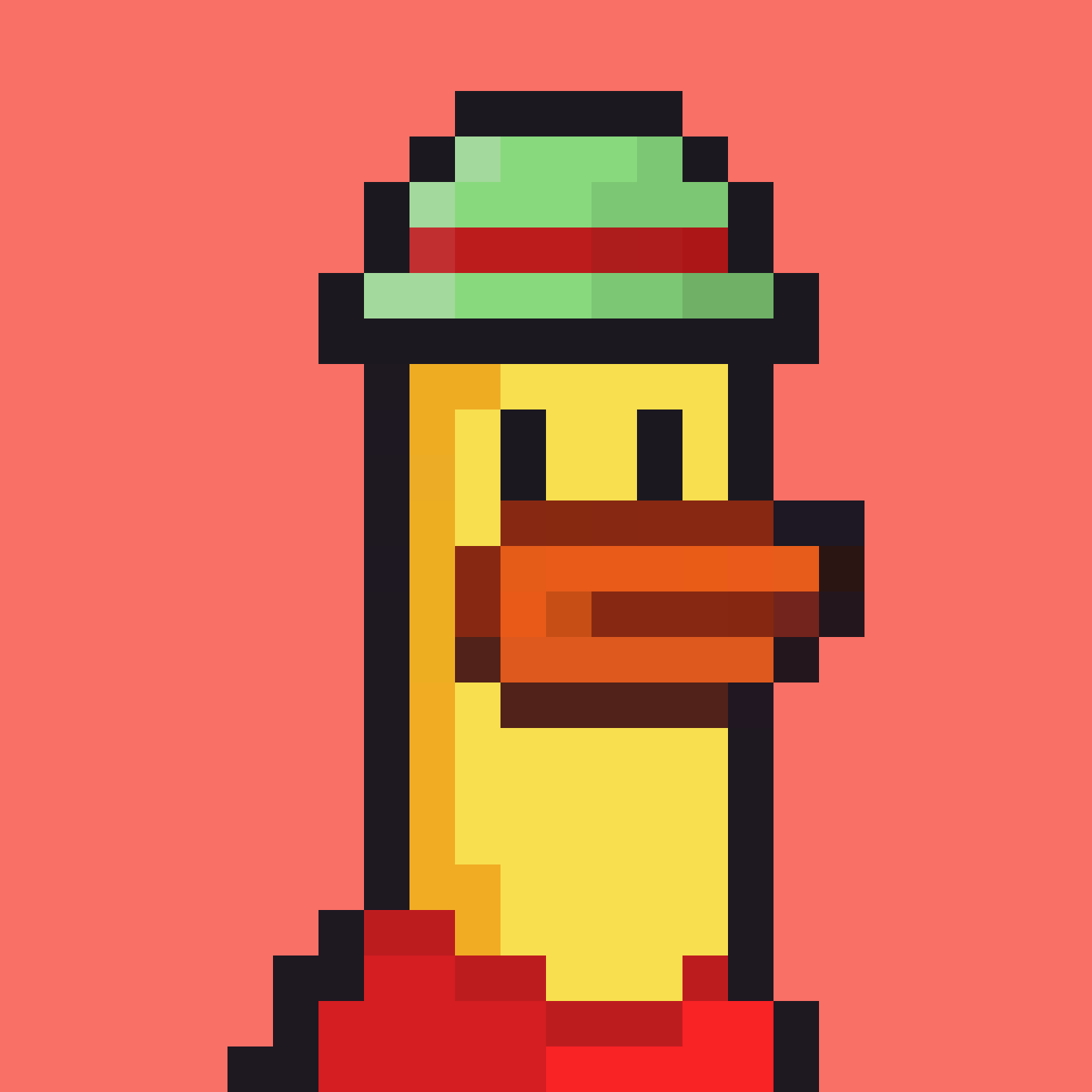 a duck