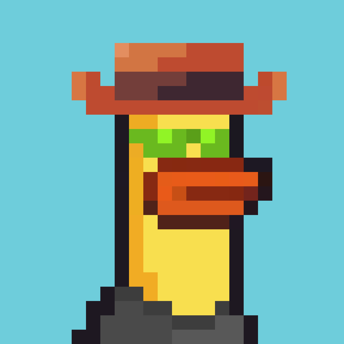 a duck
