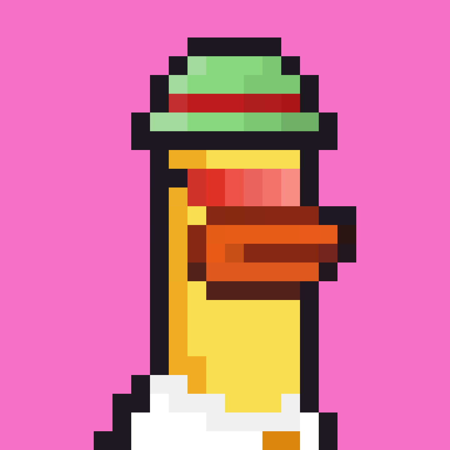 a duck